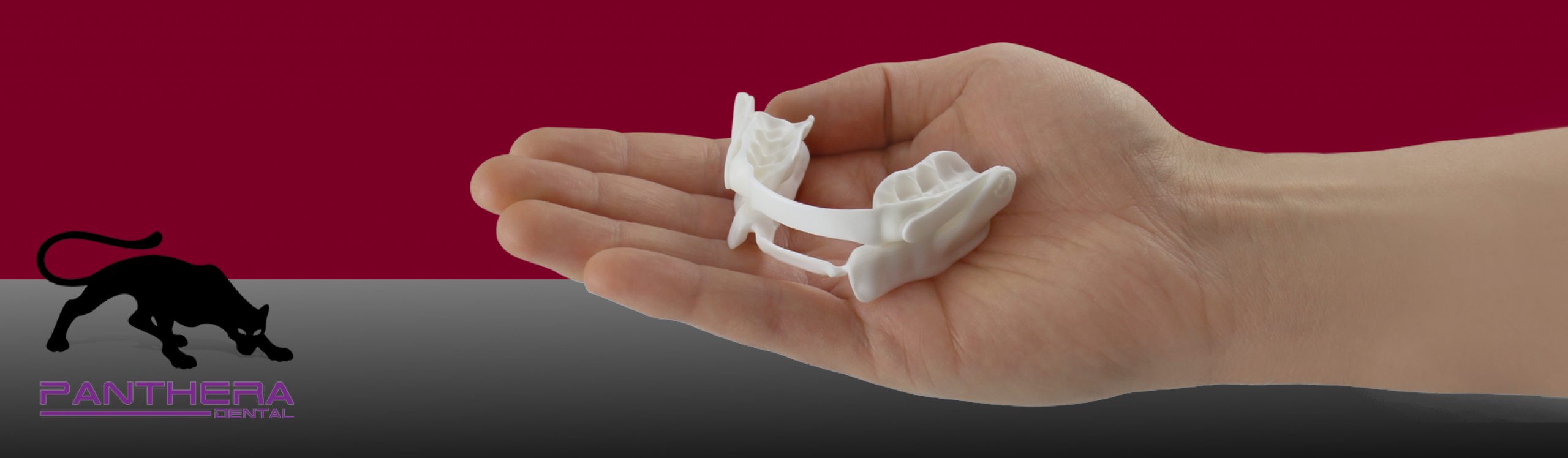 SliderBanner_PantheraDSAD Ottawa Dental Laboratory