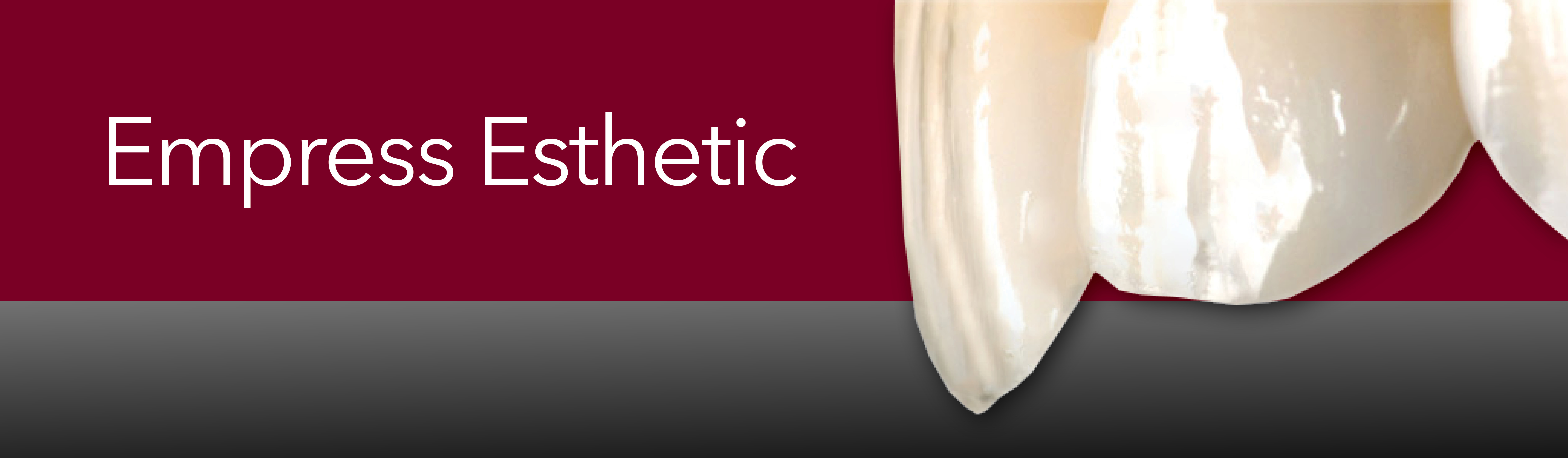 Ottawa Dental Laboratory IPS Empress Esthetic Ottawa Dental Laboratory