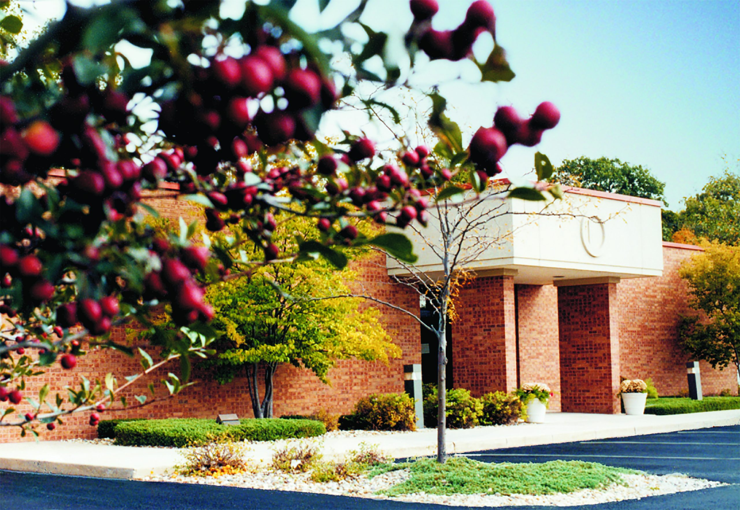 Terms & Conditions by the Ottawa Dental Laboratory